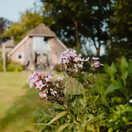 Sfeervolle Woning In Boerderijstijl
