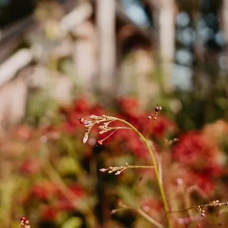 Sfeervolle Woning In Boerderijstijl בית נופש