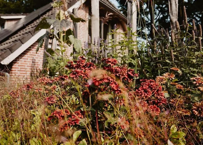 Sfeervolle Woning In Boerderijstijl Zelhem