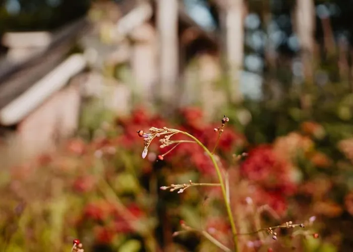 Sfeervolle Woning In Boerderijstijl בית נופש