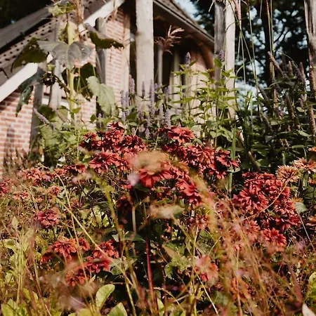 Sfeervolle Woning In Boerderijstijl Zelhem
